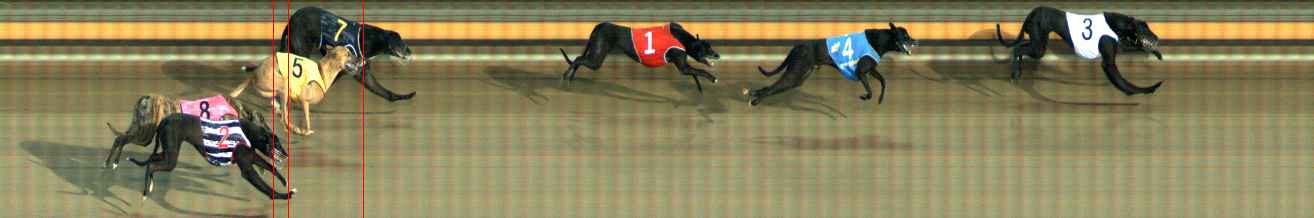 Photo finish for Ballarat Race 7