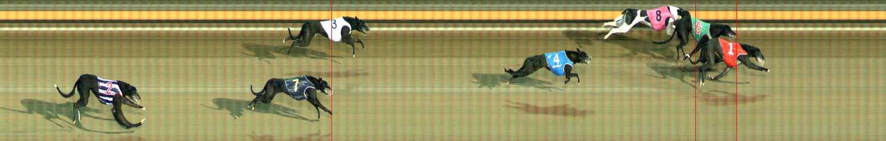 Photo finish for Ballarat Race 8