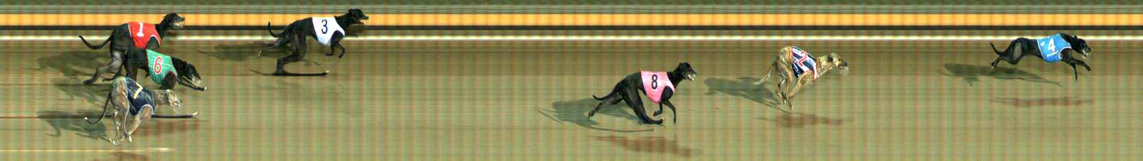 Photo finish for Ballarat Race 10