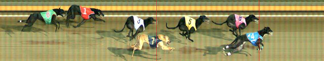 Photo finish for Ballarat Race 14
