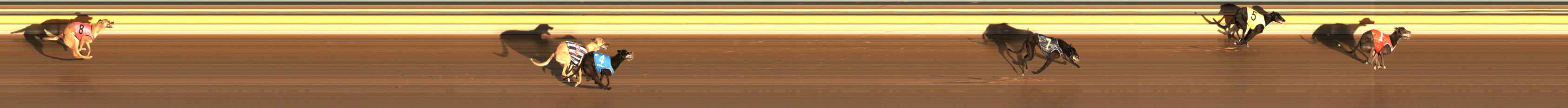Photo finish for Ballarat Race 3