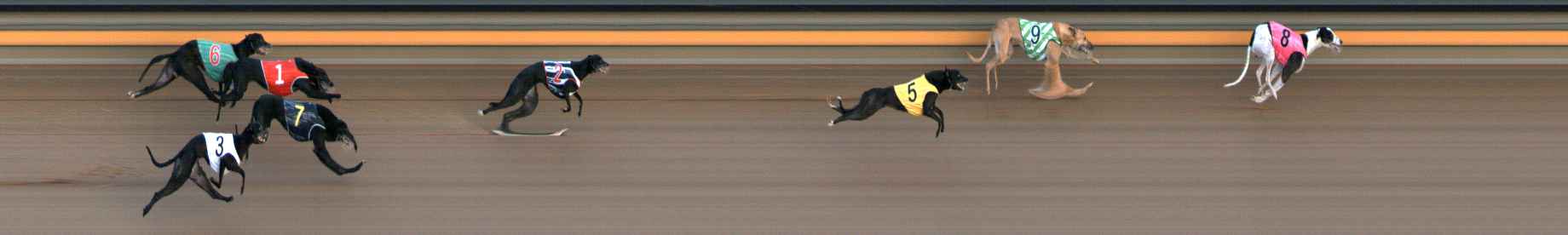 Photo finish for Ballarat Race 6