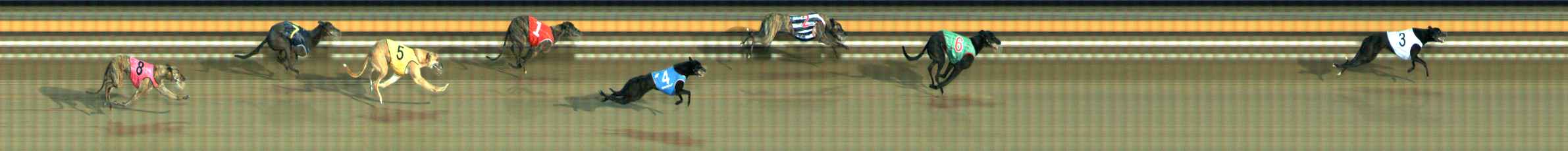 Photo finish for Ballarat Race 7