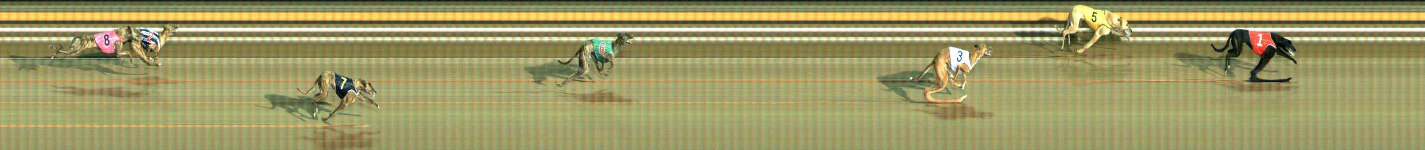 Photo finish for Ballarat Race 8