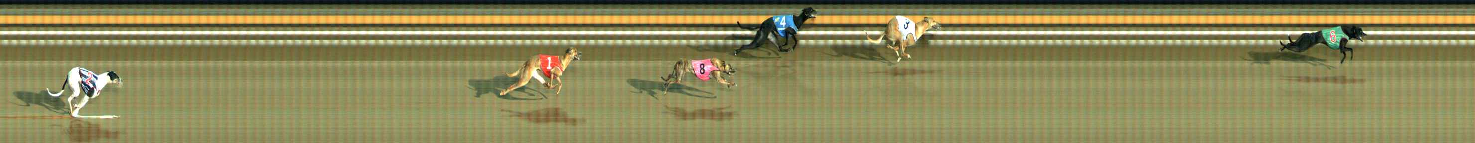 Photo finish for Ballarat Race 9