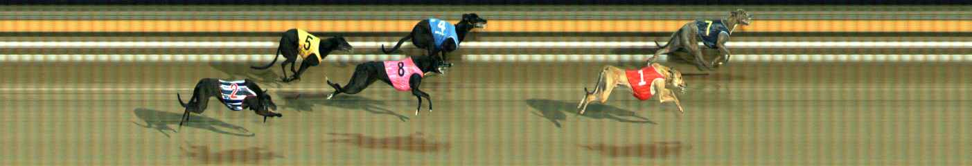 Photo finish for Ballarat Race 10