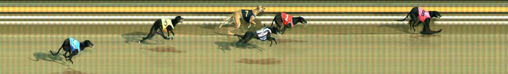 Photo finish for Ballarat Race 11