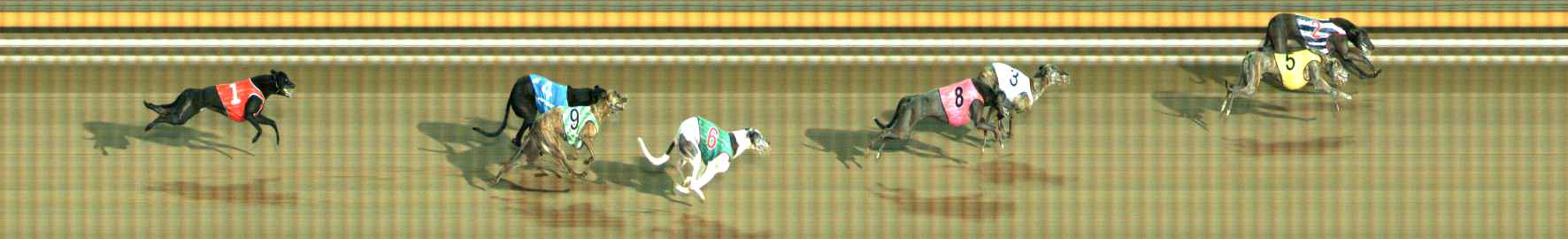 Photo finish for Ballarat Race 12