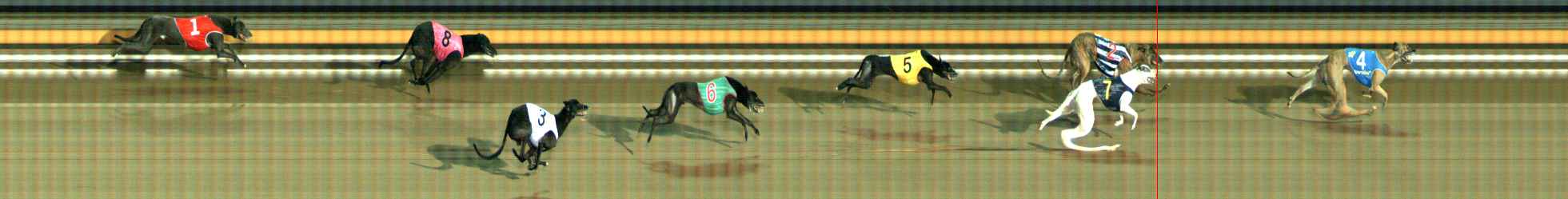 Photo finish for Ballarat Race 13