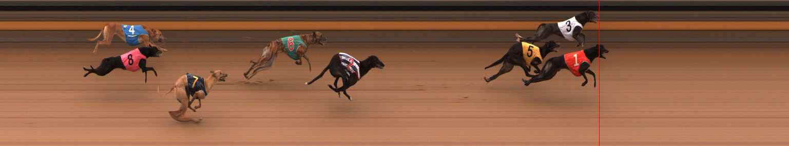 Photo finish for Ballarat Race 3