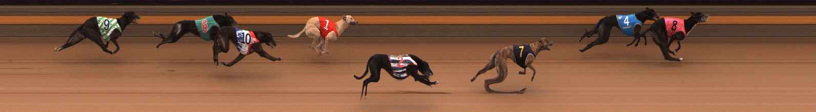 Photo finish for Ballarat Race 4
