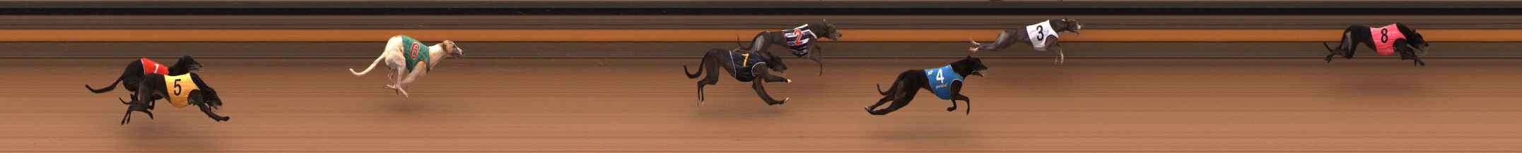 Photo finish for Ballarat Race 5
