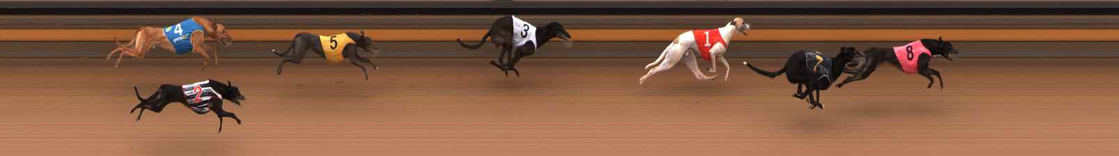 Photo finish for Ballarat Race 6