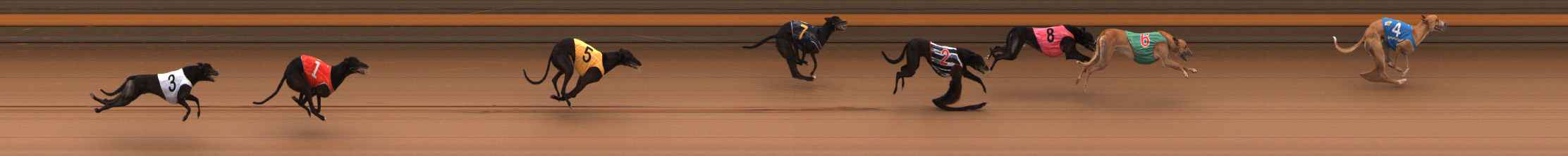Photo finish for Ballarat Race 8