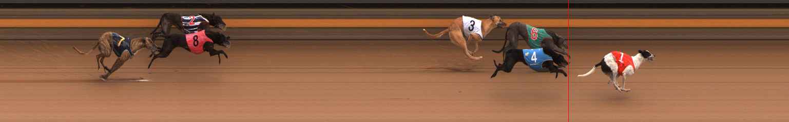 Photo finish for Ballarat Race 9