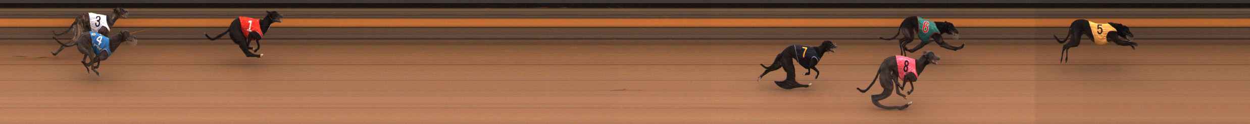 Photo finish for Ballarat Race 13
