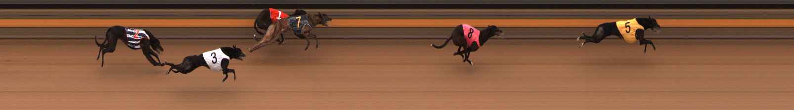 Photo finish for Ballarat Race 14