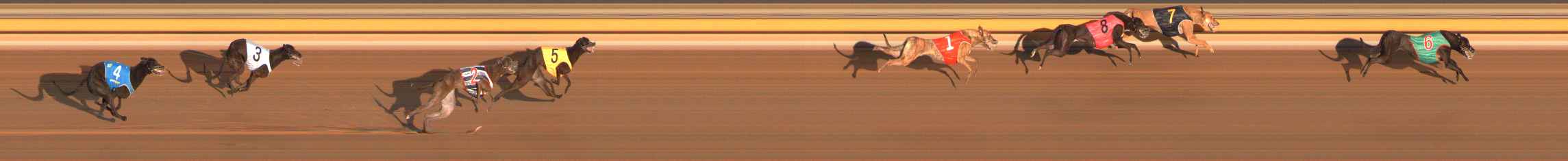 Photo finish for Ballarat Race 2