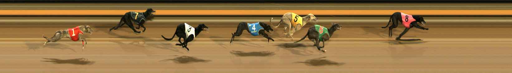 Photo finish for Ballarat Race 11