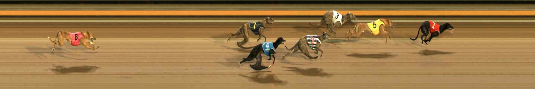 Photo finish for Ballarat Race 13