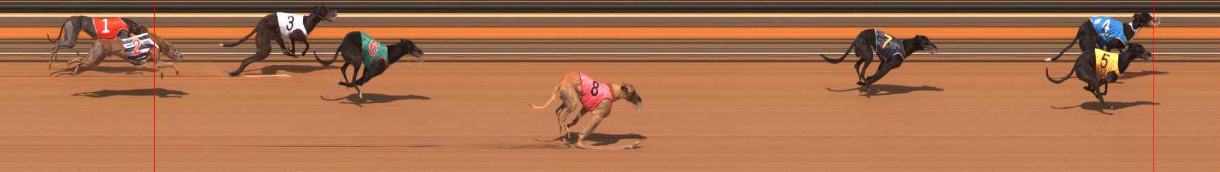 Photo finish for Ballarat Race 6