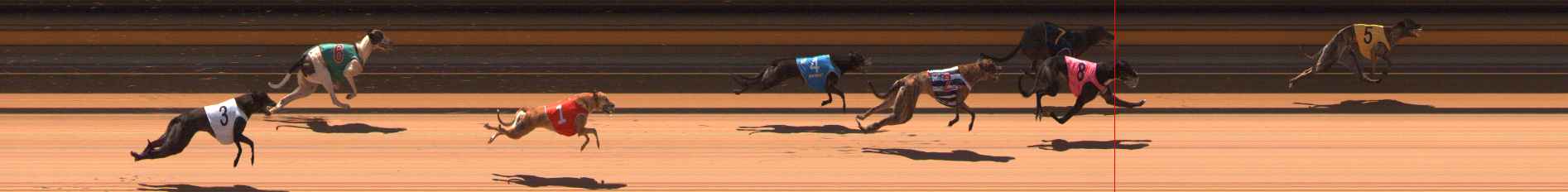 Photo finish for Ballarat Race 2