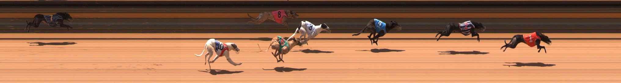 Photo finish for Ballarat Race 3