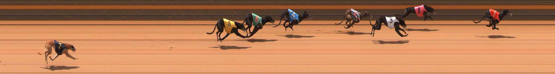 Photo finish for Ballarat Race 4