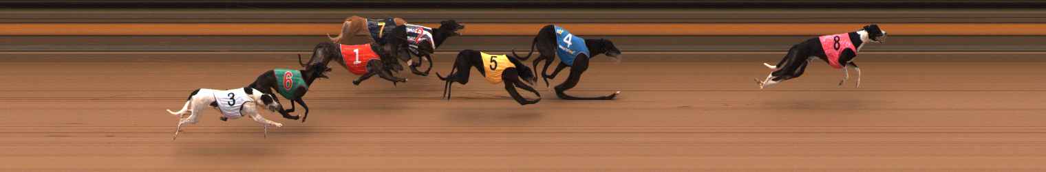 Photo finish for Ballarat Race 8