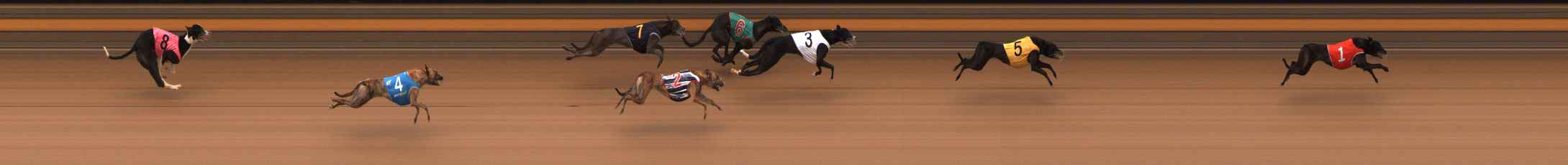 Photo finish for Ballarat Race 10