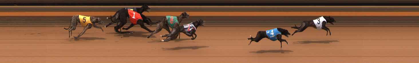 Photo finish for Ballarat Race 11