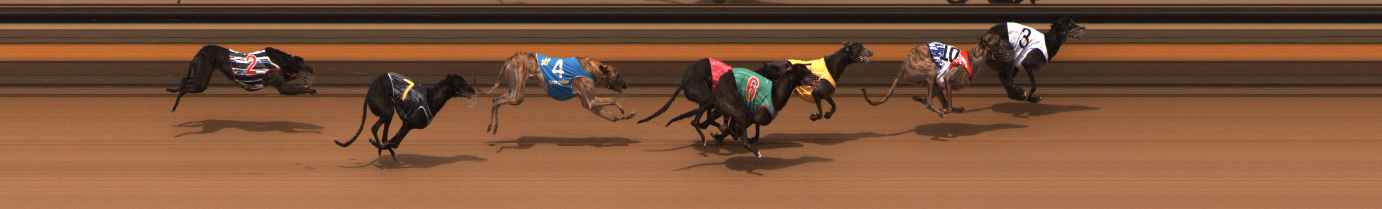 Photo finish for Ballarat Race 12