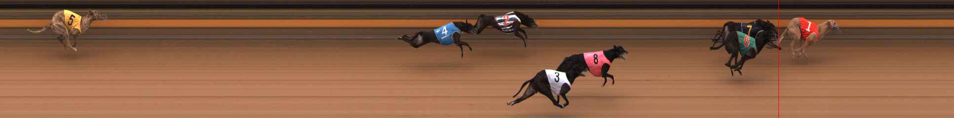 Photo finish for Ballarat Race 13