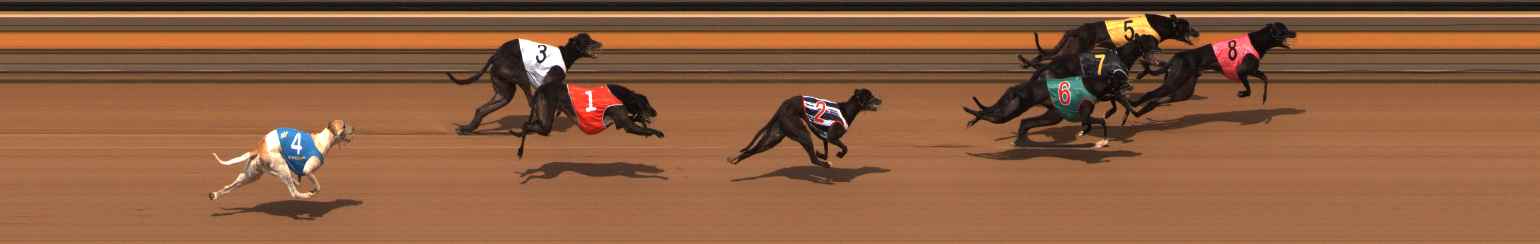 Photo finish for Ballarat Race 14