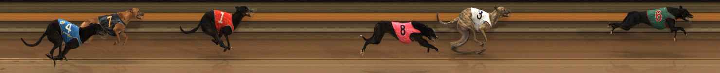 Photo finish for Ballarat Race 2