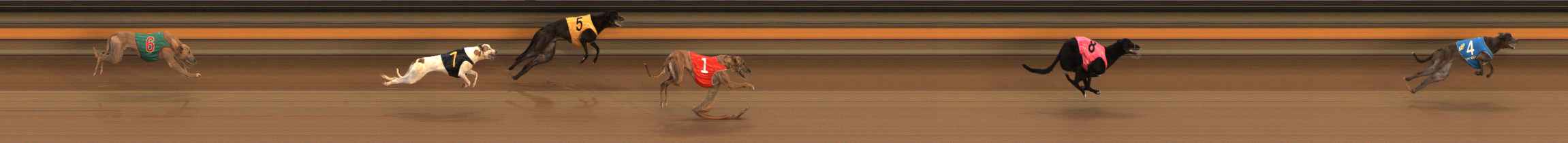Photo finish for Ballarat Race 3
