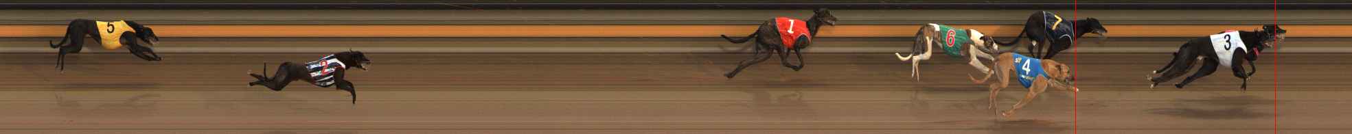Photo finish for Ballarat Race 6