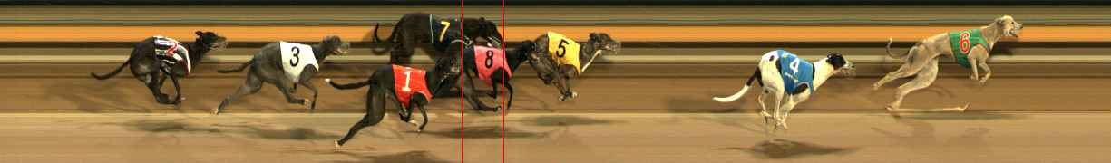 Photo finish for Ballarat Race 10