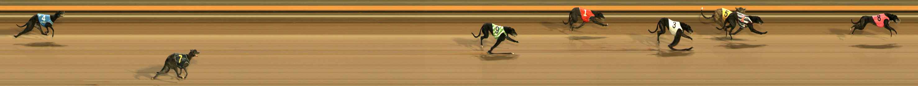 Photo finish for Ballarat Race 11