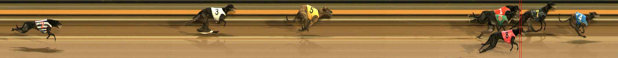 Photo finish for Ballarat Race 12