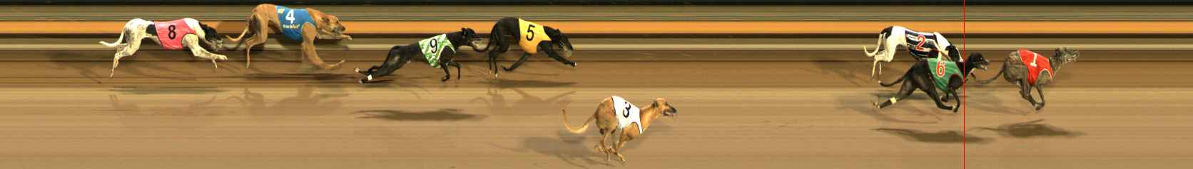 Photo finish for Ballarat Race 13