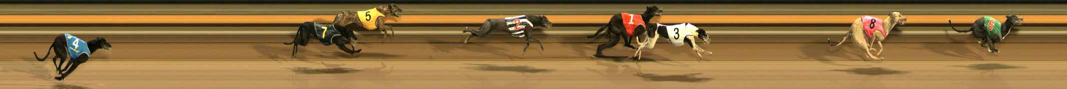 Photo finish for Ballarat Race 14