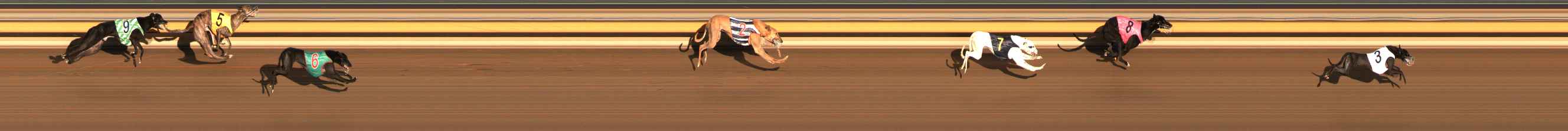 Photo finish for Ballarat Race 2