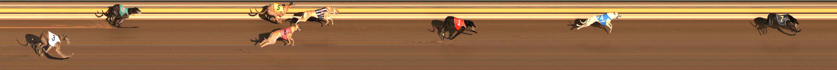 Photo finish for Ballarat Race 3