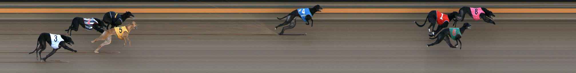 Photo finish for Ballarat Race 7