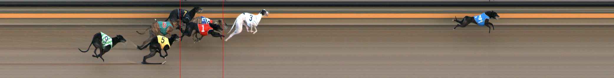 Photo finish for Ballarat Race 8