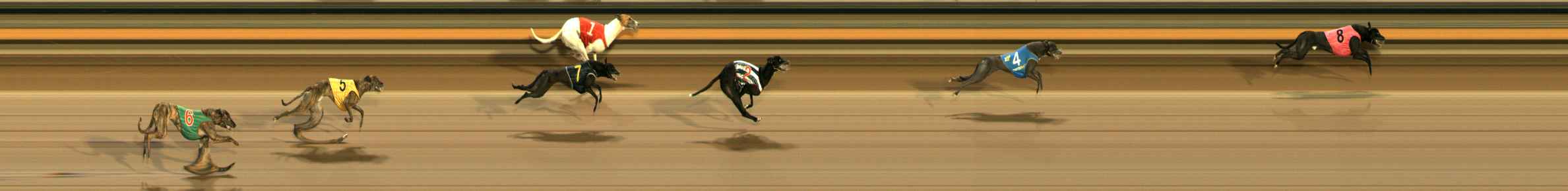 Photo finish for Ballarat Race 11