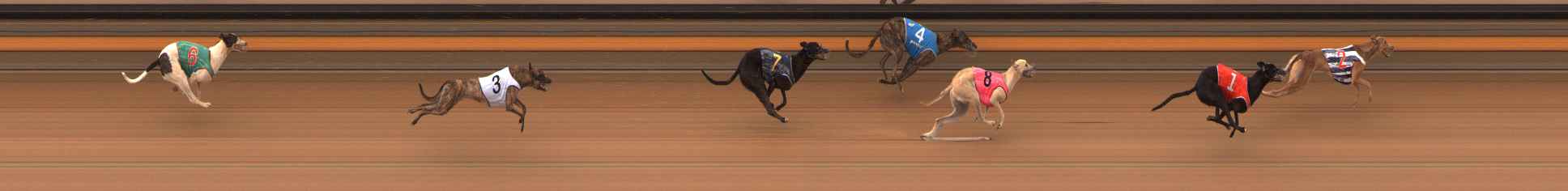 Photo finish for Ballarat Race 2