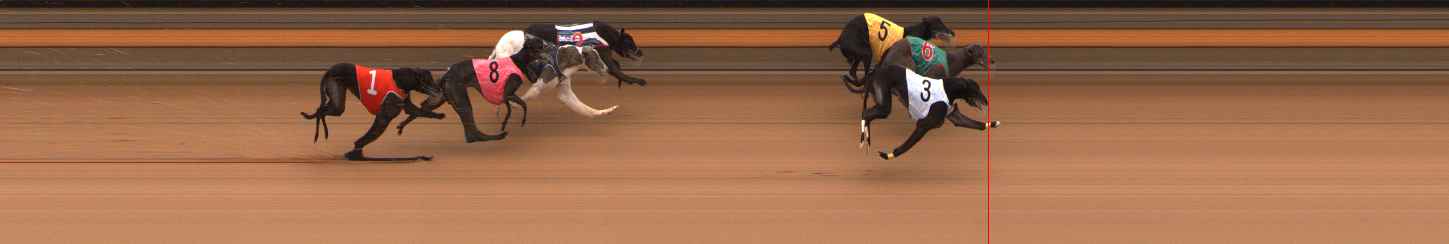 Photo finish for Ballarat Race 3