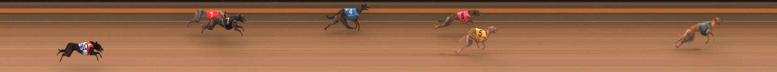 Photo finish for Ballarat Race 6
